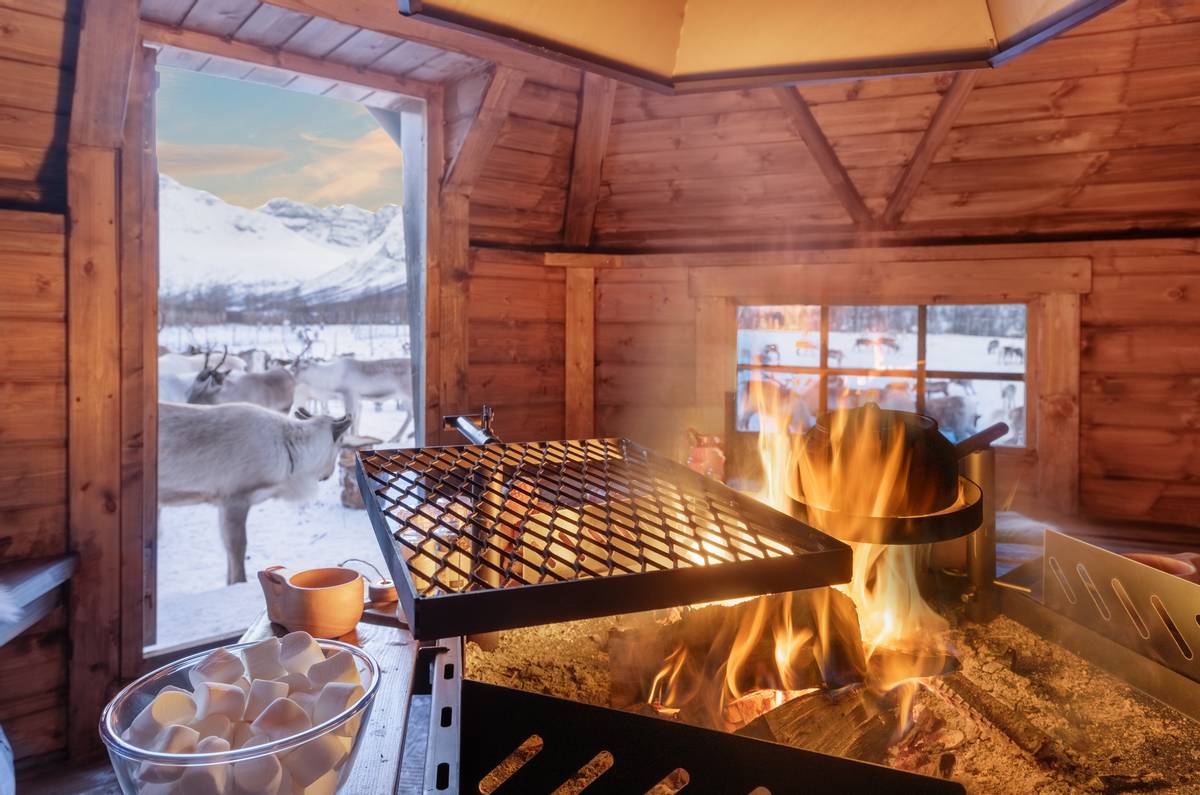 Grillhytte Royal 10 - Ret væg